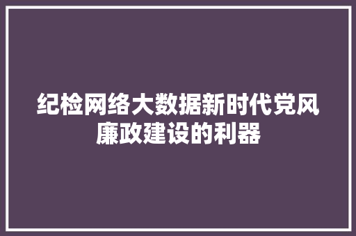 纪检网络大数据新时代党风廉政建设的利器