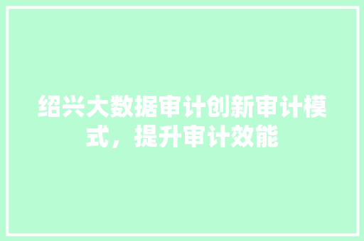 绍兴大数据审计创新审计模式，提升审计效能  第1张