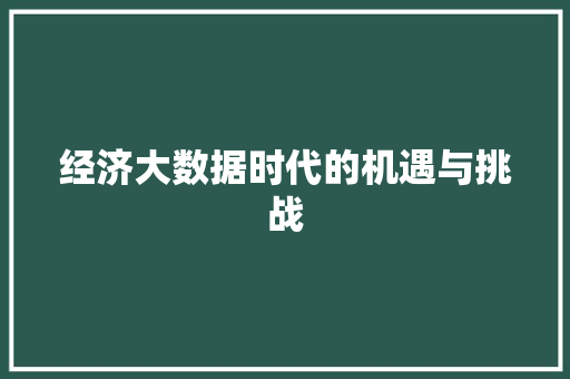 经济大数据时代的机遇与挑战