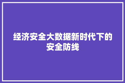 经济安全大数据新时代下的安全防线  第1张