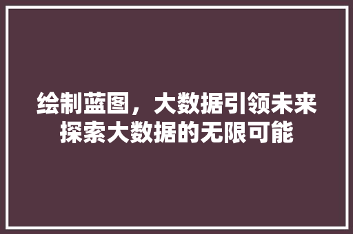 绘制蓝图，大数据引领未来探索大数据的无限可能  第1张