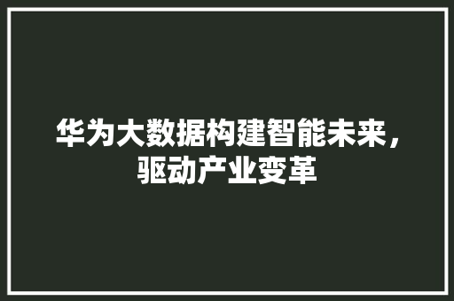 华为大数据构建智能未来，驱动产业变革  第1张