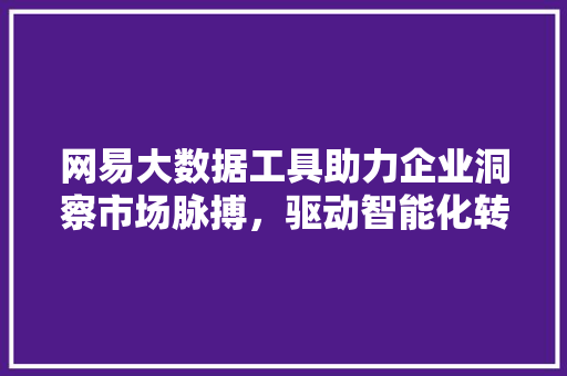网易大数据工具助力企业洞察市场脉搏，驱动智能化转型  第1张