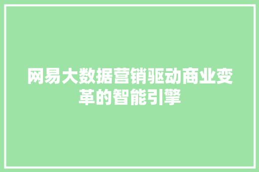 网易大数据营销驱动商业变革的智能引擎  第1张