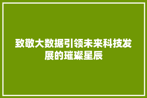 致敬大数据引领未来科技发展的璀璨星辰  第1张