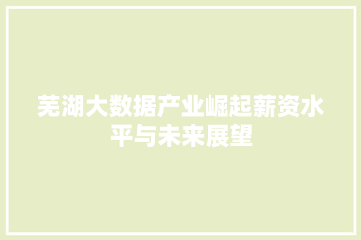 芜湖大数据产业崛起薪资水平与未来展望  第1张