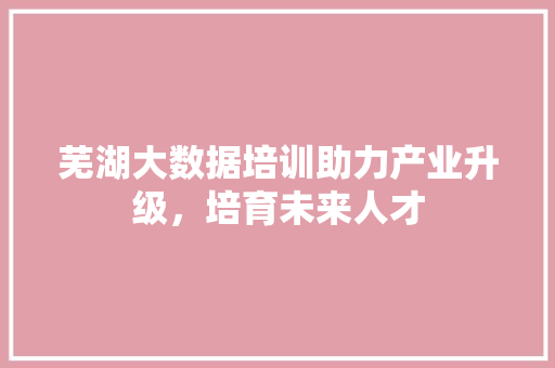 芜湖大数据培训助力产业升级，培育未来人才  第1张