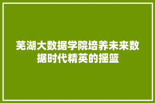 芜湖大数据学院培养未来数据时代精英的摇篮  第1张