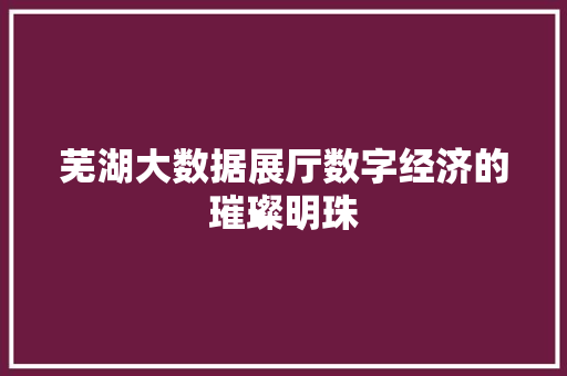 芜湖大数据展厅数字经济的璀璨明珠  第1张