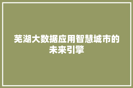 芜湖大数据应用智慧城市的未来引擎  第1张
