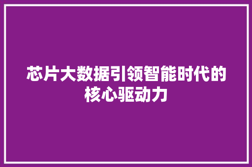 芯片大数据引领智能时代的核心驱动力