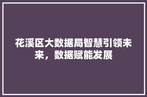 花溪区大数据局智慧引领未来，数据赋能发展
