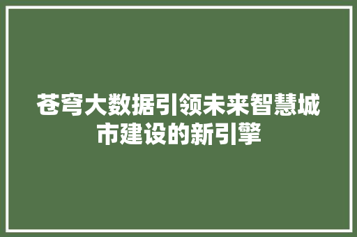 苍穹大数据引领未来智慧城市建设的新引擎  第1张