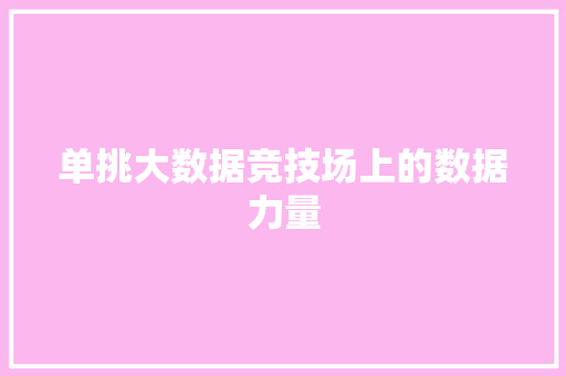 单挑大数据竞技场上的数据力量