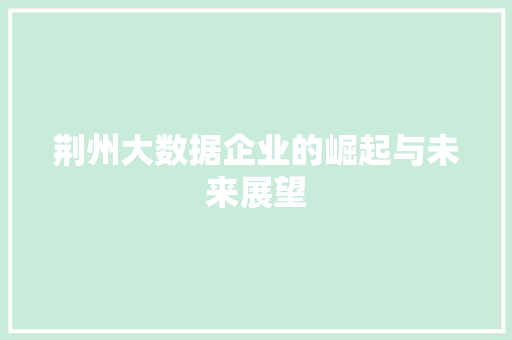 荆州大数据企业的崛起与未来展望  第1张