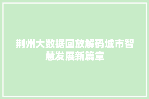 荆州大数据回放解码城市智慧发展新篇章  第1张