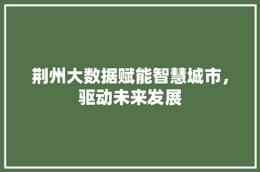 荆州大数据赋能智慧城市，驱动未来发展  第1张