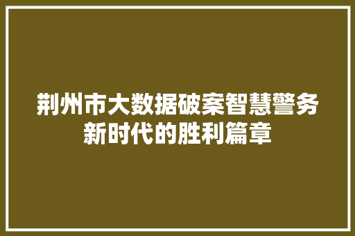 荆州市大数据破案智慧警务新时代的胜利篇章
