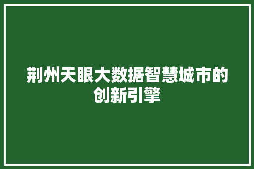 荆州天眼大数据智慧城市的创新引擎
