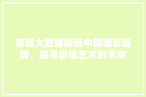 荣耀大数据解码中国摄影趋势，探寻影像艺术的未来