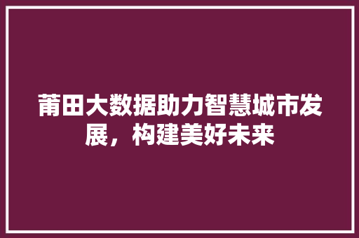 莆田大数据助力智慧城市发展，构建美好未来