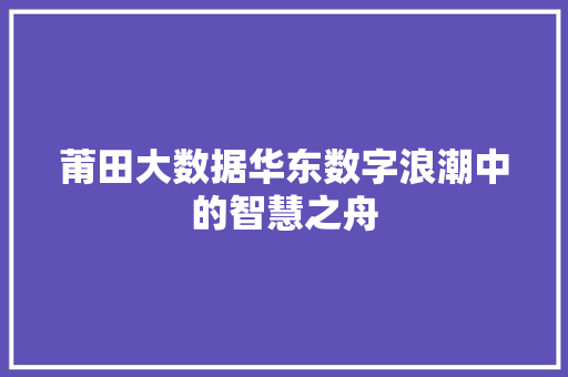 莆田大数据华东数字浪潮中的智慧之舟  第1张