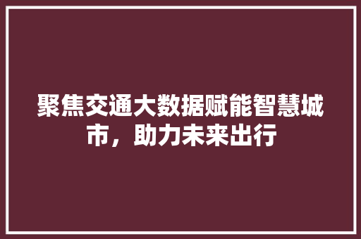 聚焦交通大数据赋能智慧城市，助力未来出行  第1张