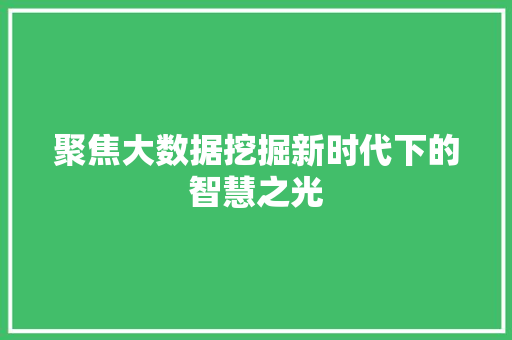 聚焦大数据挖掘新时代下的智慧之光  第1张