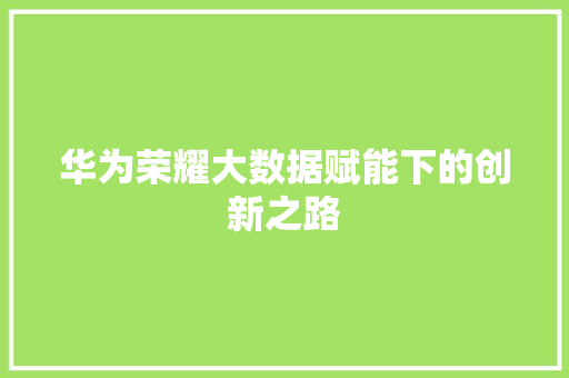 华为荣耀大数据赋能下的创新之路  第1张