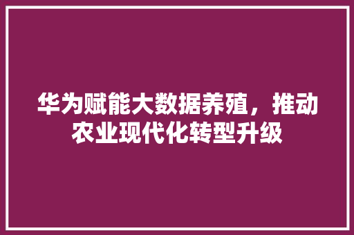 华为赋能大数据养殖，推动农业现代化转型升级  第1张