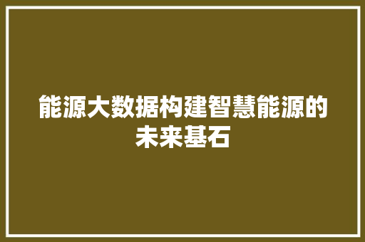 能源大数据构建智慧能源的未来基石  第1张