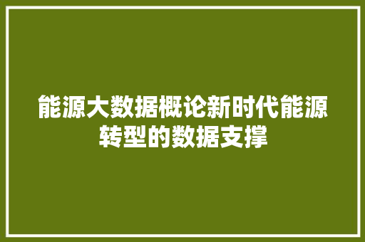 能源大数据概论新时代能源转型的数据支撑  第1张