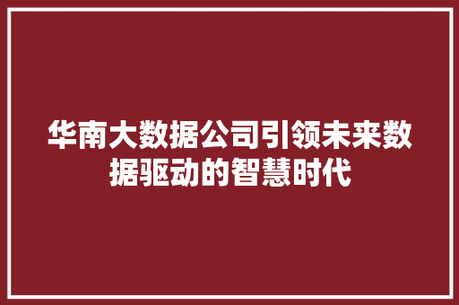华南大数据公司引领未来数据驱动的智慧时代