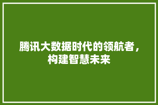 腾讯大数据时代的领航者，构建智慧未来  第1张