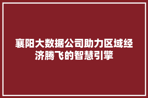 襄阳大数据公司助力区域经济腾飞的智慧引擎  第1张