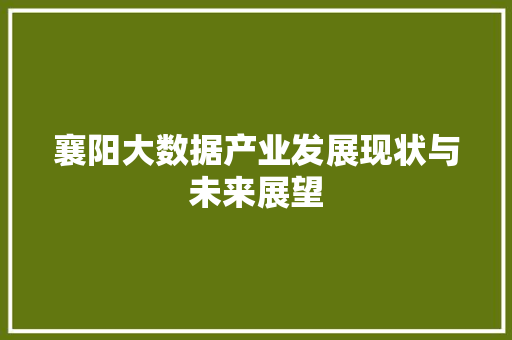 襄阳大数据产业发展现状与未来展望  第1张