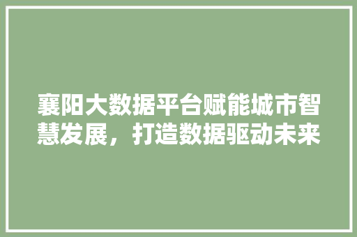 襄阳大数据平台赋能城市智慧发展，打造数据驱动未来  第1张
