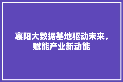 襄阳大数据基地驱动未来，赋能产业新动能  第1张