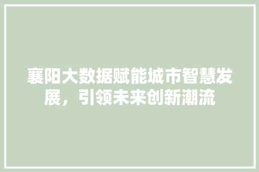 襄阳大数据赋能城市智慧发展，引领未来创新潮流  第1张