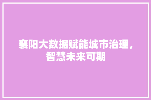 襄阳大数据赋能城市治理，智慧未来可期  第1张