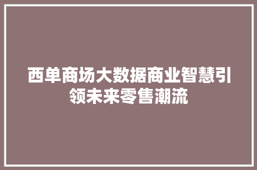 西单商场大数据商业智慧引领未来零售潮流