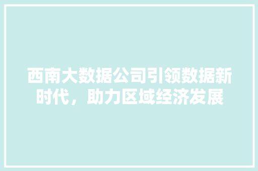 西南大数据公司引领数据新时代，助力区域经济发展