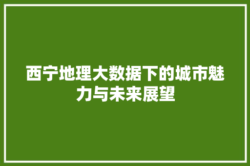 西宁地理大数据下的城市魅力与未来展望  第1张