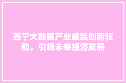 西宁大数据产业崛起创新驱动，引领未来经济发展  第1张