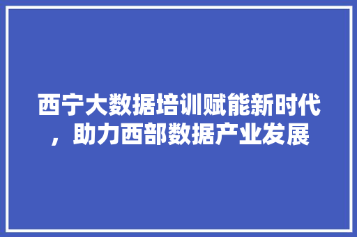 西宁大数据培训赋能新时代，助力西部数据产业发展