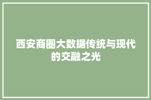 西安商圈大数据传统与现代的交融之光