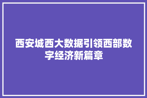 西安城西大数据引领西部数字经济新篇章  第1张