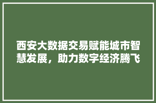 西安大数据交易赋能城市智慧发展，助力数字经济腾飞  第1张