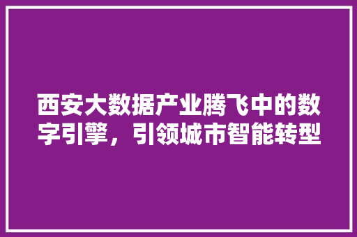 西安大数据产业腾飞中的数字引擎，引领城市智能转型  第1张
