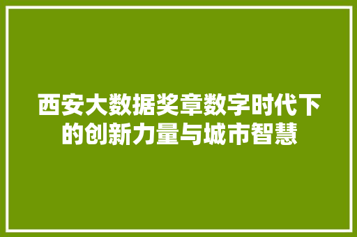 西安大数据奖章数字时代下的创新力量与城市智慧  第1张